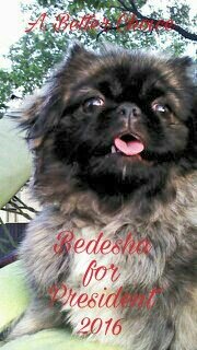 LJHerron's profile picture. Bedesha for president