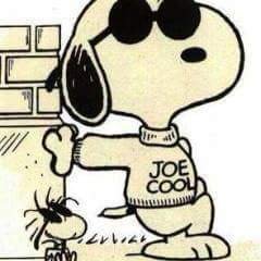 marcovi7572's profile picture. 