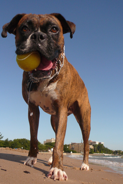 ika_monja's profile picture. 