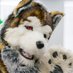 チグマソラ𝙉𝙚𝙭𝙩 ︎⇒??? (@nousu94) Twitter profile photo チグマソラ𝙉𝙚𝙭𝙩 ︎⇒??? (@nousu94) Twitter profile photo
