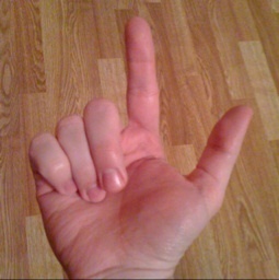 ElusiveJonathan's profile picture. Early American History grad student, woodworker, superior taste in music than most.