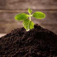 Compost411 (@compost_411) 's Twitter Profile