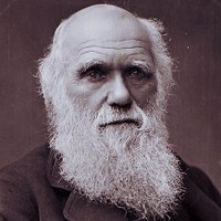 Mr. Freidhoff (@freidhoffbio) Twitter profile photo
