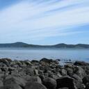 Jane Rieger - @janerieger - Twitter