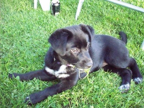 NessaRose8808's profile picture. Humanitarian, Curious soul, Actress, Activist, Animal lover, Photographer and Auntie to 5 amazing kiddos under the age of 8 yo!!!