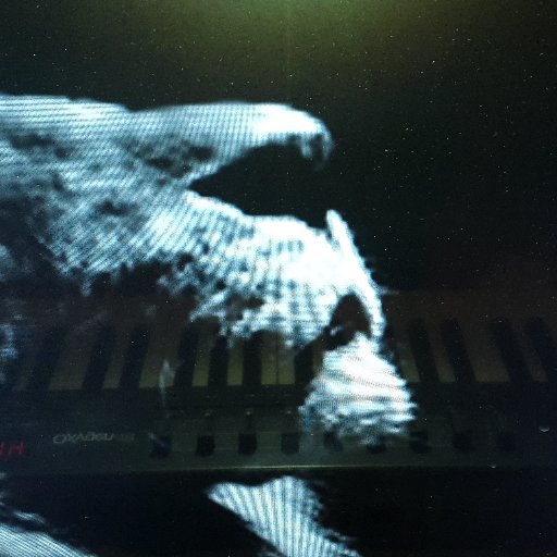 frenchriddim's profile picture. beatmaker