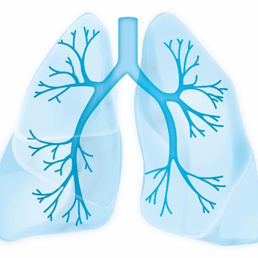 CPCSchool's profile picture. The CPC Research School Lung Biology and Disease is an international doctoral training program designed to promote excellence in the biomedical sciences.