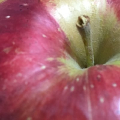 megmeg23_23's profile picture. 小さい時の自分のマークはりんご🍎でしたね