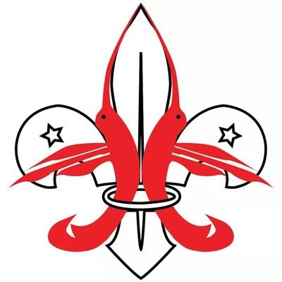 Official account of the National Scout Organisation for T&T. RTs do not imply endorsement. #GoScouting
