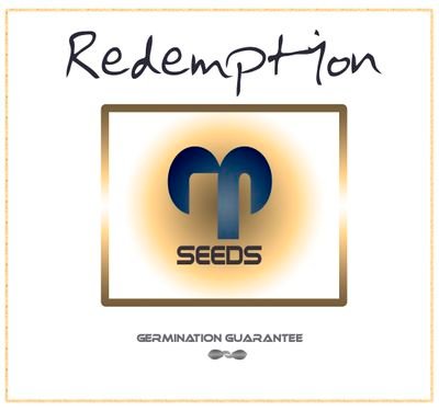 Redemption Premium Cannabis Seeds
👥Customer Support / WhatsApp:
info@redemptionseeds.com
https://t.co/wjc3iZ94Ar