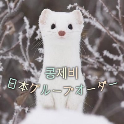 행복한세상의 콩제비(@erminekong929)の日本グループオーダーアカウントです🍇お届けは全て完了しました。参加いただいた皆さま、ありがとうございました。