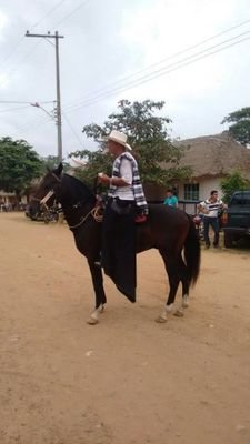 LuisRafaelHoyo2's profile picture. 