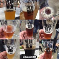 Big Brew Beer Fest (@bigbrewbeerfest) 's Twitter Profile