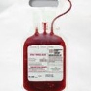 NabilMohammed16's profile picture. جنوب العرب مختبرات طبيه