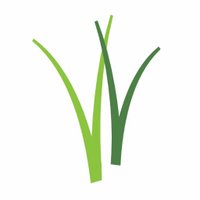 Wisconsin Wetlands (@wiwetlandsassoc) 's Twitter Profile Photo