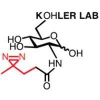 Kohler Lab(@LabKohler) 's Twitter Profile Photo