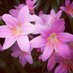 Gisela Mar (@0b66f138bfa5404) Twitter profile photo Gisela Mar (@0b66f138bfa5404) Twitter profile photo