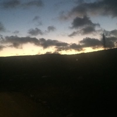 TrevorReid18's profile picture. Hockey Montreal Canadiens