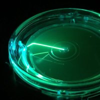 Super Res Microscopy (@srmicro_papers) 's Twitter Profile
