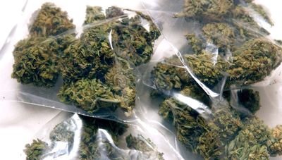 Im just an account that loves weed. Dm me your pictures! Videos! And Stories about your Weed experience. Puff! Puff! Pass!