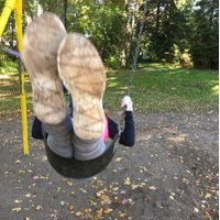 sandra dorman (@sandradorman1) 's Twitter Profile