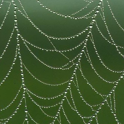 bratwebb's profile picture. Permanently addicted