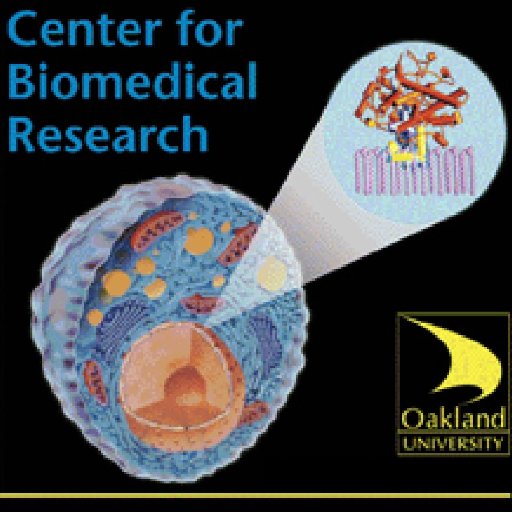 The mission of the Center for Biomedical Research at Oakland University is to vigorously promote and support biomedical research and education.