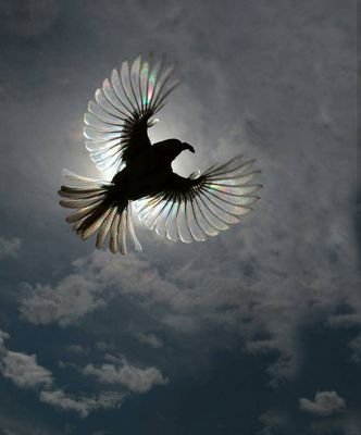 a_guptas's profile picture. Samne pahad ho bagal se nikl chalo..veer tum..