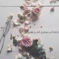 اذكر الله كل يوم (@mk_forever1193) 's Twitter Profile