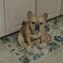 Debbie Travis - @deb_trav - Twitter