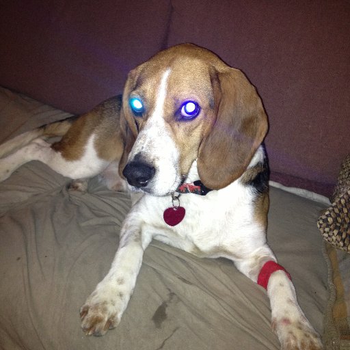 loncron's profile picture. stuff and things and such