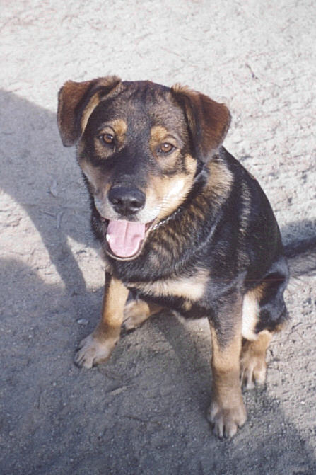 karnjohal's profile picture. 