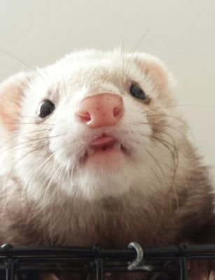 rustica0's profile picture. 