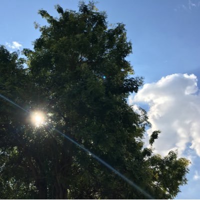 mynameisYvie's profile picture. 