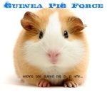 GuineaPigForce's profile picture. Behind 'Guinea Pig Force' is a young couple determined to make a difference.