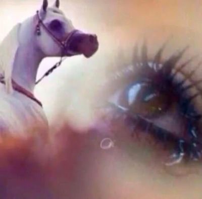 amerah20p2's profile picture. أتجاهل وكن لأقلب لي.🤎