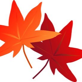 KkPtetUArBzbJ1b's profile picture. 