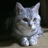 happy73.3131.178 (@wysed7dqacrzkot) 's Twitter Profile