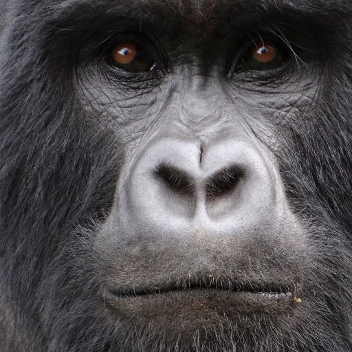 beleefvakantie's profile picture. Uw reisspecialist in beleefvakanties op maat, luxe reizen. Eigen rondreizen in Zuidelijk Afrika en Oost Afrika. Wij verzorgen huwelijken in het buiteland.