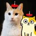 アマの宮廷生活 (@fumeancats) Twitter profile photo アマの宮廷生活 (@fumeancats) Twitter profile photo
