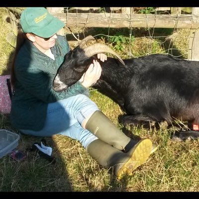 wattleseed's profile picture. 