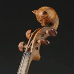 Official Twitter Account of the International Cello Day - December 29th