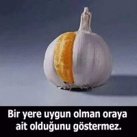 YILMAZ CANDAN (@cevher_candan) Twitter profile photo