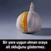 YILMAZ CANDAN (@cevher_candan) Twitter profile photo YILMAZ CANDAN (@cevher_candan) Twitter profile photo