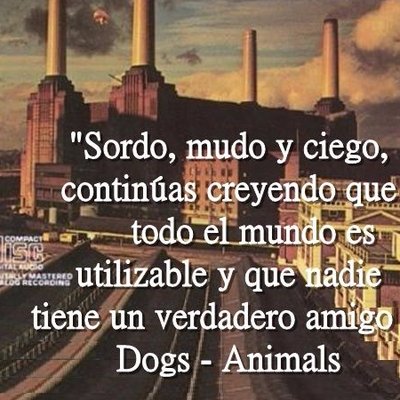 Pink Floyd frases (@Pinkkfloyddwall) / Twitter Pink Floyd frases (@Pinkkfloyddwall) / Twitter