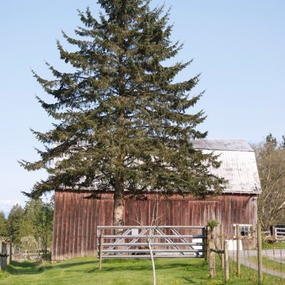 Vista D'oro Farms & Winery – a wine & culinary agritourism destination located in South Langley, BC overlooking Campbell Valley Park - home of The Preservatory