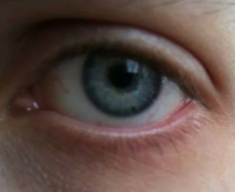 Palmblad's profile picture. Rektor i Höör📚Gaming, fru & två döttrar i Lomma🎮😊🌱Tidigare förstelärare i 🌍📲🇨🇳🇬🇧 #INFJ-A