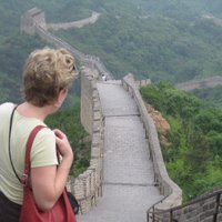 Anne Larkin (@aclarkin1) 's Twitter Profile