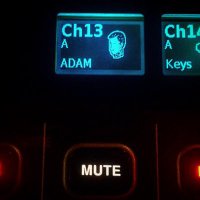 Adam Seely (@adamseeadamdo) 's Twitter Profile Photo