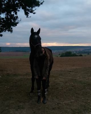 horseridingblog